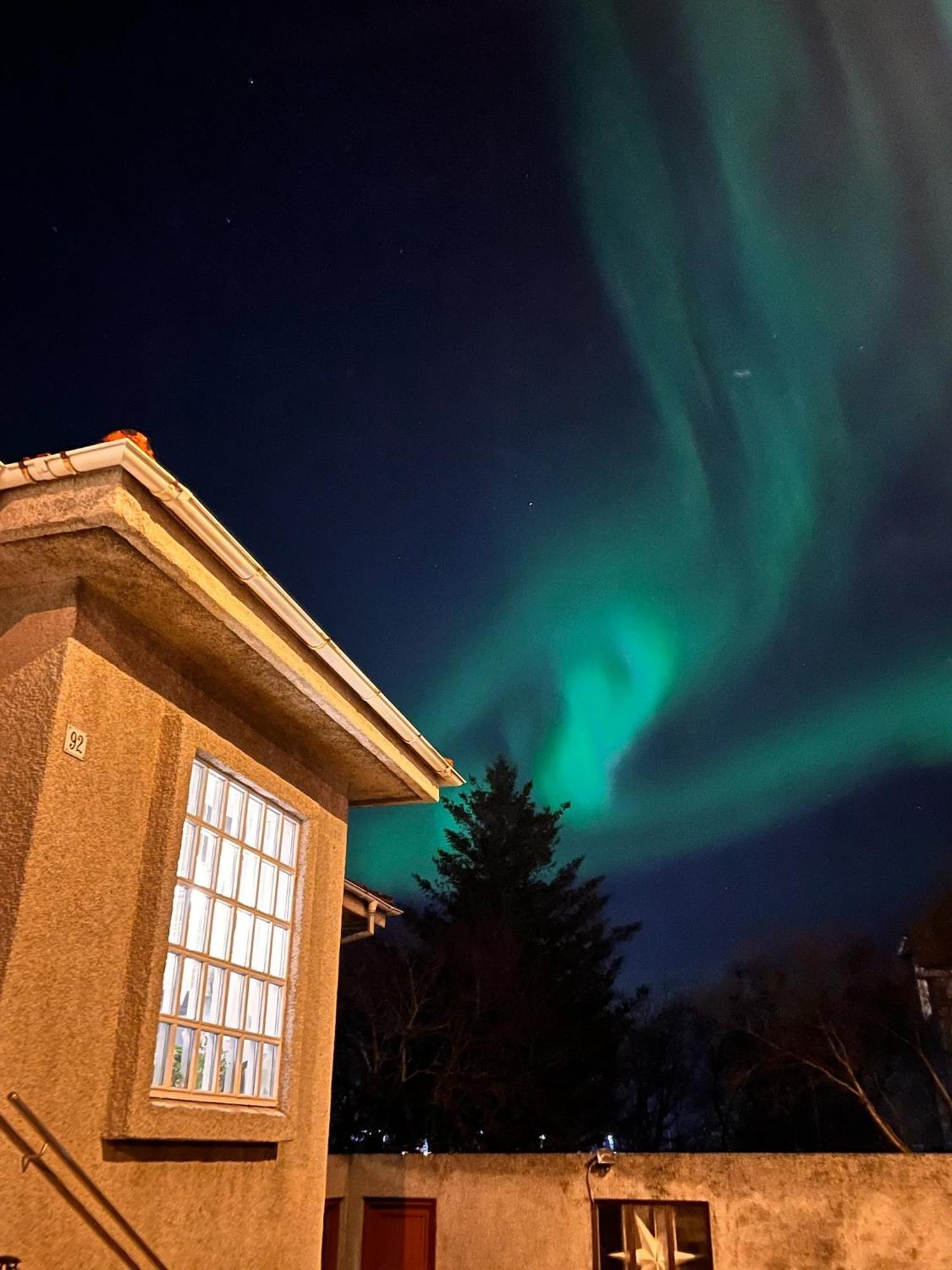 Casa Disa - Apartments A Boutique Guesthouse In Reykjavik City'S Central Park And Botanical Garden In Laugardalur, Hot-Spring-Valley Exterior foto