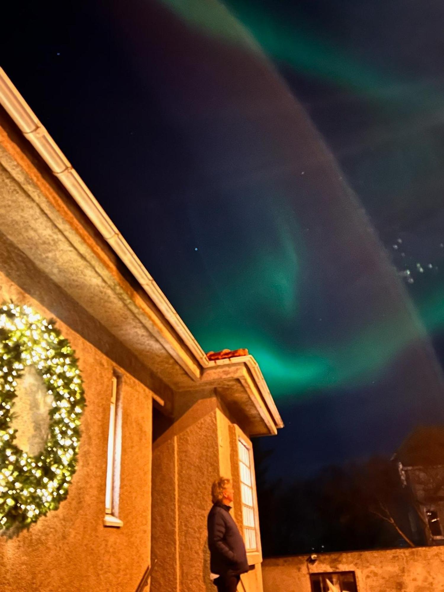 Casa Disa - Apartments A Boutique Guesthouse In Reykjavik City'S Central Park And Botanical Garden In Laugardalur, Hot-Spring-Valley Exterior foto